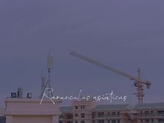 -海南热带海洋学院(三亚校区)