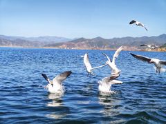 -丽江泸沽湖景区