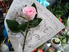 -FEI FEI FLOWER鲜花店·气球派对·宝宝宴布置(虹口德必运动Loft店)
