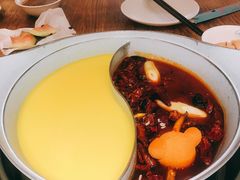 -青瓷火锅料理(西单大悦城店)