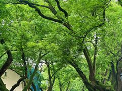 -颐和路民国时期公馆风貌区
