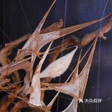 南京| 华彩天地0元观展‼️现场送定制周边