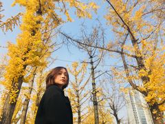 -两江幸福广场