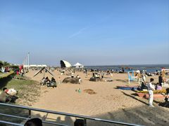 -碧海金沙