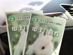 -秦皇岛野生动物园
