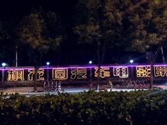 -枫花园汽车电影院(朝阳公园店)