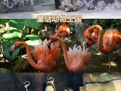 -长鹿旅游休博园