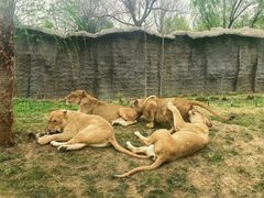 -北京野生动物园