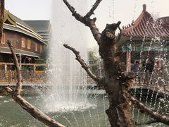 -呀路古热带植物园