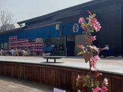 -极料理(普罗理想国店)