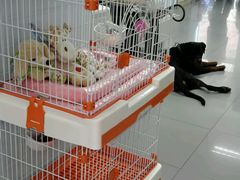 -瑞派宠物医院·24h·骨外科·皮肤科·全科宠物医疗转诊中心(沈阳浑南院)