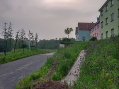 -大塘金香草谷