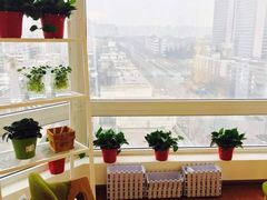 -EnergyCake蛋糕理想国