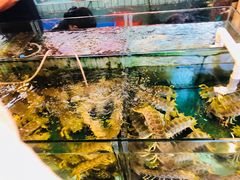 水产区-猪肉婆私房菜(容桂总店)