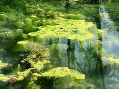 -玄武湖景区-情侣园游乐场