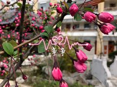 -锡师附小学(学前街校区)