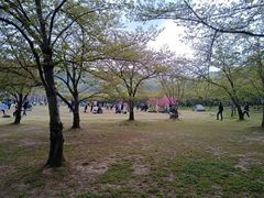 -苏州上方山国家森林公园