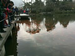 -西湖外事游船(花港观鱼码头)