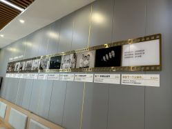 -小阿福儿童摄影(华中智谷店)