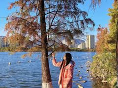 -飞来湖湿地公园