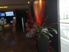 -万达影城(金山万达广场IMAX店)