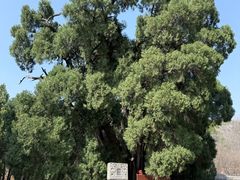 -四门塔风景区