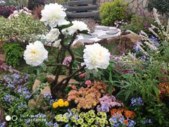 -重庆市江北嘴中央商务区中央公园