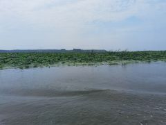 -微山湖红荷湿地景区