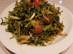 苦菊海蜇-北李妈妈菜·海肠捞饭(开发区万达店)