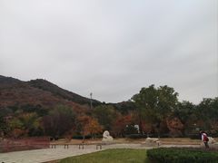 -北京十三陵国家森林公园蟒山景区
