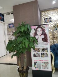 -希思特医疗美容医院
