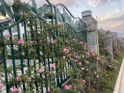 点击看大图 -她所·橙子美学·纹眉·美甲美睫