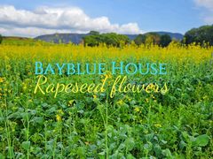 -光明小镇欢乐田园