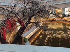 -海澜飞马水城