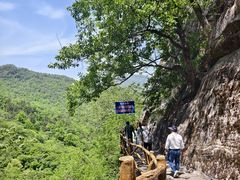 -燕子河大峡谷天坑仙境