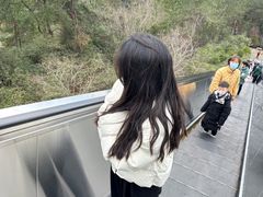 -千岛湖天屿景区