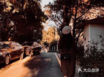 不经意的发现身边的小美好，随手拾起一片落叶