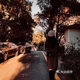 不经意的发现身边的小美好，随手拾起一片落叶