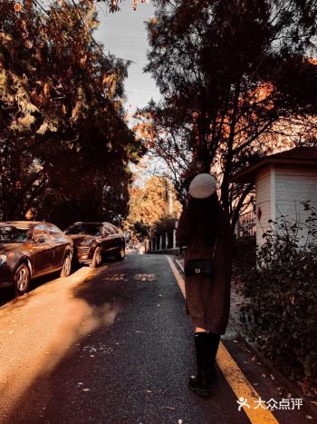 不经意的发现身边的小美好，随手拾起一片落叶