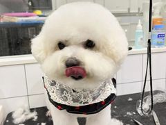 -1013 PET SHOP 宠物商店(近铁城市广场店)