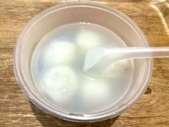 -海丝金凤(金鱼店)