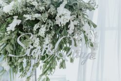 -DC大蔡婚礼策划(李公堤店)