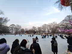 -北陵公园