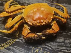 -大渔小鲜火锅店