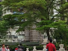 -晓港公园