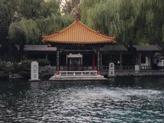 -趵突泉景区
