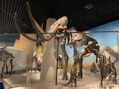 -国家自然博物馆