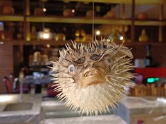 -长沙北辰洲际酒店-兰调全日餐厅