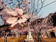 -藏山旅游风景区