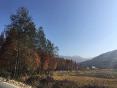 -塔川景区